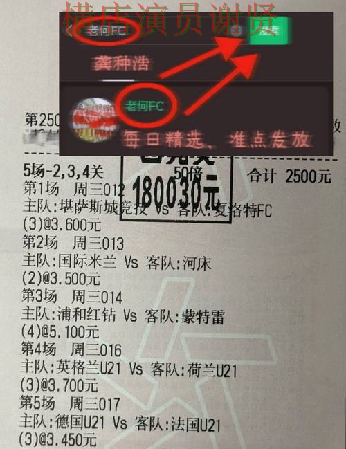 乐鱼世界杯投注网站入口与赔率分析